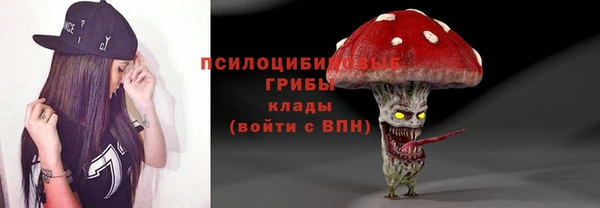 МДПВ Волосово