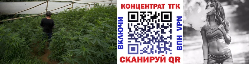 ТГК жижа  ссылка на мегу ссылка  Осташков 