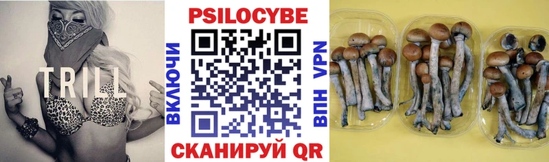Галлюциногенные грибы GOLDEN TEACHER  дарнет шоп  Осташков 